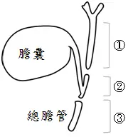 圖片描述